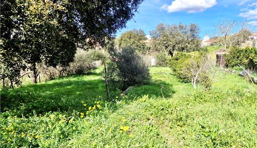 Terreno edificabile con rudere e cubatura residua – Padru, località Biasì