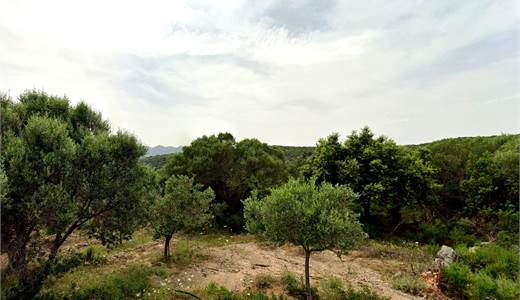 Terreno Agricolo - Loc. Suidatu Olbia
